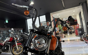 HARLEY FXBBS 2021 YYK