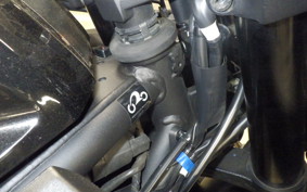 YAMAHA YZF R-3 2021 RH13J