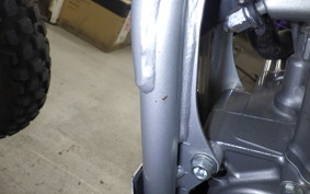 HONDA CRF250L 2019 MD47