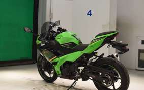 KAWASAKI NINJA 250 EX250P