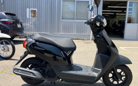 HONDA  TACT  BASIC  AF79