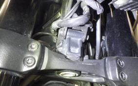 HARLEY PAN AMERICA 1250 S 2021