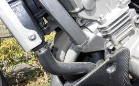 HONDA HORNET 250 MC31