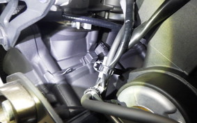 YAMAHA XSR900 GP 2024 RN96J