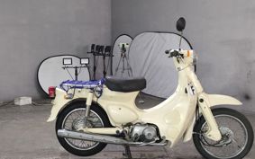 HONDA LITTLE CUB C50