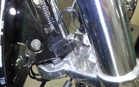 HARLEY FXBR1920 2025