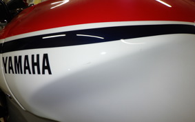 YAMAHA XSR900 GP 2024 RN96J