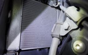 SUZUKI GSX-R125 2007 DL33B