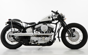 OTHER プロトロードホッパーType2 2016