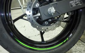 KAWASAKI NINJA 250 EX250P