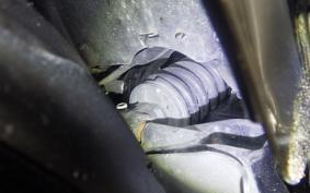 HARLEY FLBS 1870 2019