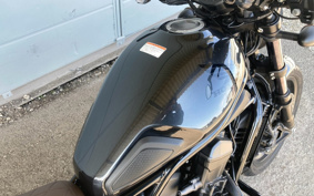 HONDA REBEL 1100 DCT 2021 SC83