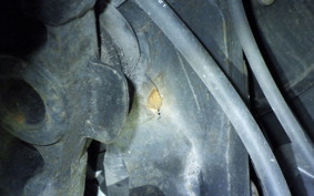 HONDA PCX125 2022 JF28