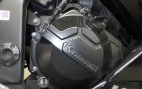 KAWASAKI NINJA 250 EX250L