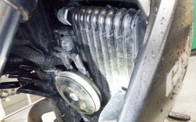 SUZUKI ｼﾞｸｻｰ250 2011 ED22B