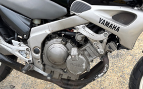 YAMAHA ZEAL 3YX
