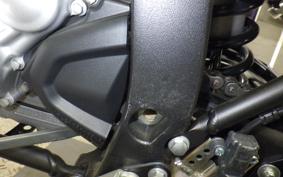 YAMAHA WR250X 2019 DG15J