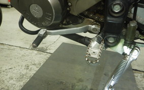 KAWASAKI KLX250D TRACKER 2009 LX250E
