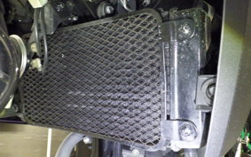 SUZUKI Vｽﾄﾛｰﾑ250 2006