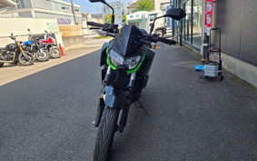 KAWASAKI Z250 EX250Y