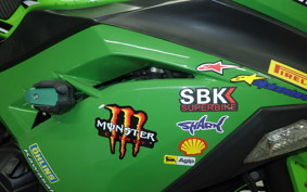 KAWASAKI NINJA 250 2010 EX250L