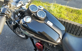 HARLEY FXDL 100th 2003 GDV