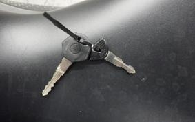 YAMAHA YZF-R25 RG43J