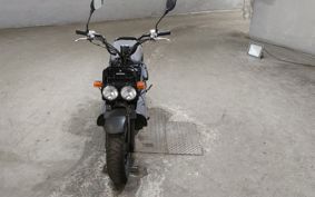 HONDA ZUMAR AF58