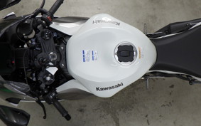 KAWASAKI NINJA ZX-6R A 2025 ZX636J