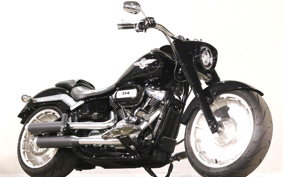 HARLEY FLFBS 2018 YGK