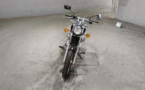 YAMAHA VIRAGO 250 3DM