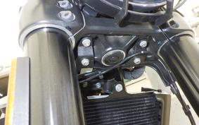 HUSQVARNA SVARTPILEN 250 2025