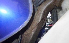 SUZUKI DJEBEL 250 XC SJ45A