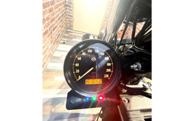 HARLEY HARLEY XL883N 2015 LE2