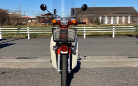 HONDA SUPER CUB110 JA59