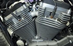 HARLEY XL1200CX 2020