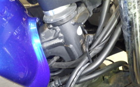 KAWASAKI NINJA 250 ABS 2022 EX250L