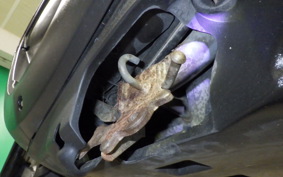 YAMAHA JOG Gen.5 SA36J