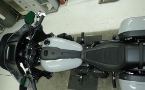 HARLEY FXLRST1920 2025