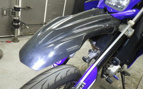 YAMAHA WR250X DG15J