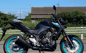 YAMAHA MT-25 RG74J