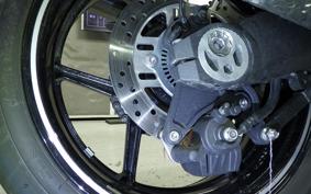 KAWASAKI NINJA 1000 SX 2024 ZXT02K