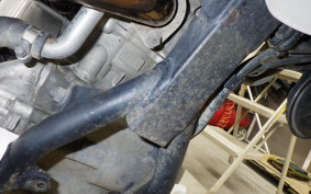 YAMAHA WR250X DG15J