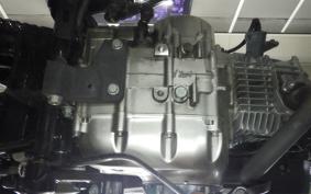 HONDA MONKEY 125 2024 JB02