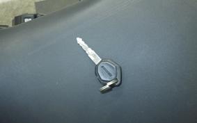 DUCATI MONSTER 937 + 2021