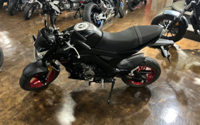 KAWASAKI Z125 PRO BR125H