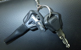 TRIUMPH SPEED TWIN 2023