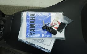 YAMAHA X-MAX 250 2009 SGA8J