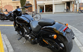 HARLEY HARLEY FXSE CVO 2017 TG9