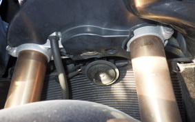 SUZUKI HAYABUSA Gen.2 2011